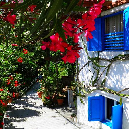 Alpha Stegna Sun Hotel Archangelos  Exterior photo