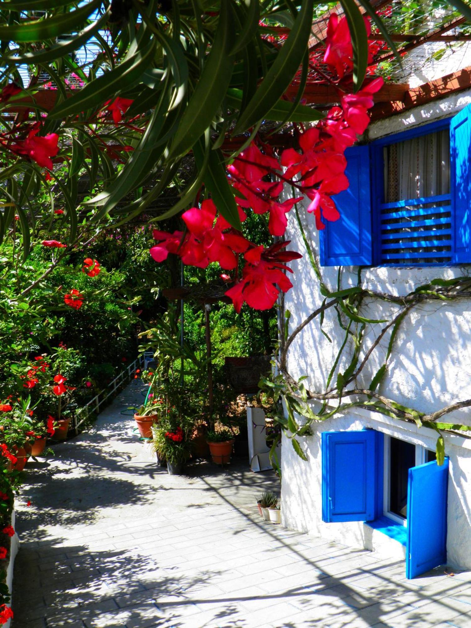 Alpha Stegna Sun Hotel Archangelos  Exterior photo